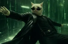 CZ наблюдает за генеральным директором Robinhood, CASHCAT достигает нового максимума, понимание текущего ончейн-рынка